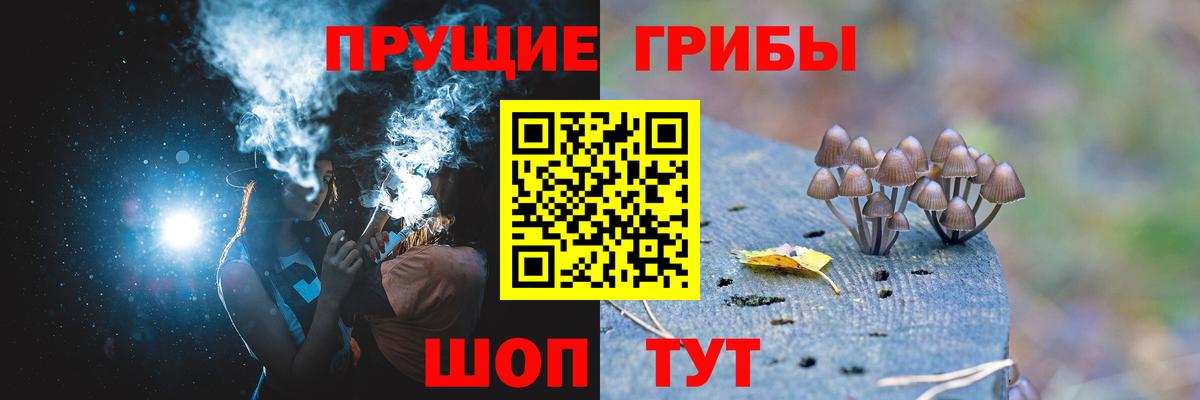 Галлюциногенные грибы мицелий  Вход с VPN  Спасск-Дальний 